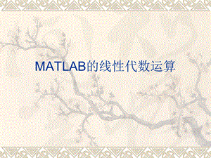 MATLAB的线性代数运算.ppt