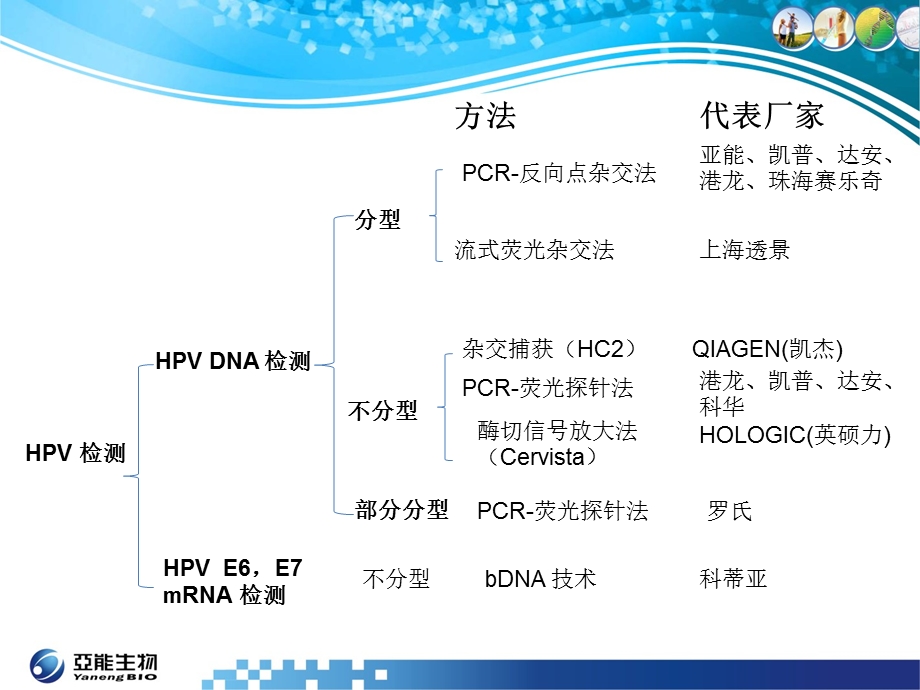 hpv主要竞争产品分析.ppt_第2页