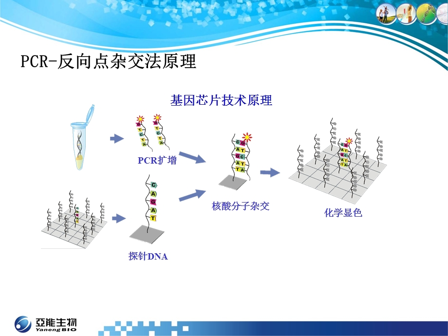 hpv主要竞争产品分析.ppt_第3页