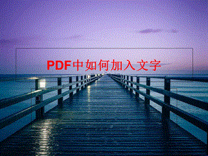 PDF中如何加入文字.ppt