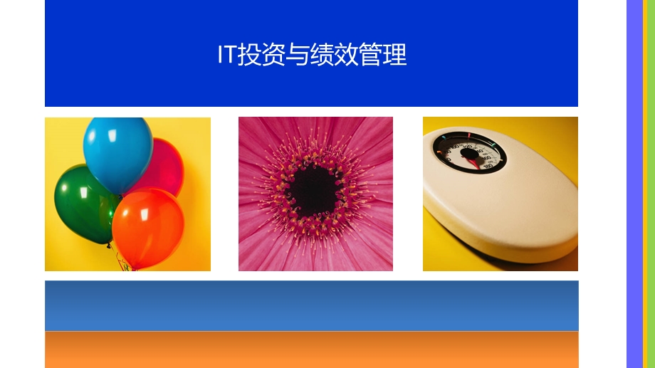 IT投资与绩效管理PPT.ppt_第1页