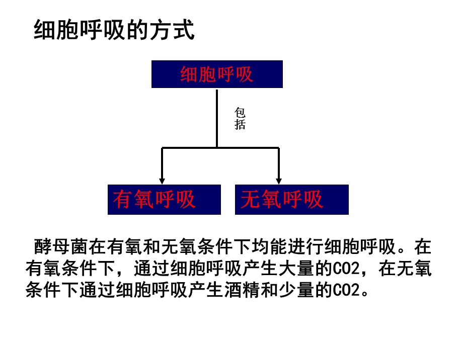 ATP的主要来源课时.ppt_第2页