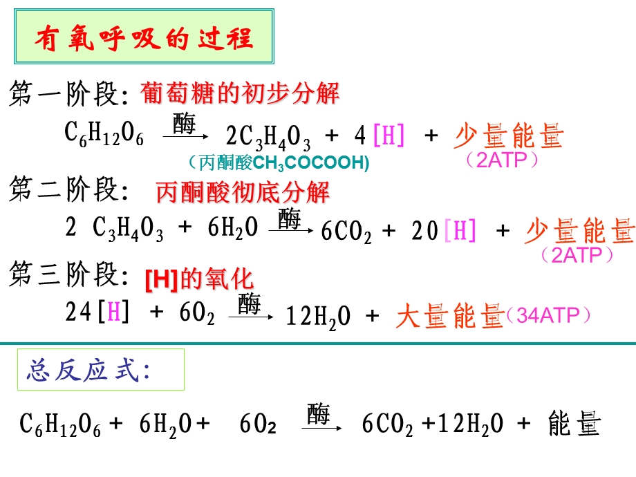 ATP的主要来源课时.ppt_第3页