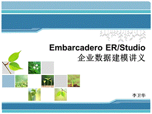 ERStudio使用教程中文版.ppt