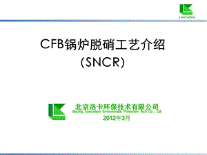 CFB锅炉脱硝工艺介绍(洛卡).ppt