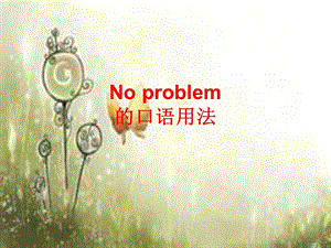 Noproblem的口语用法.ppt