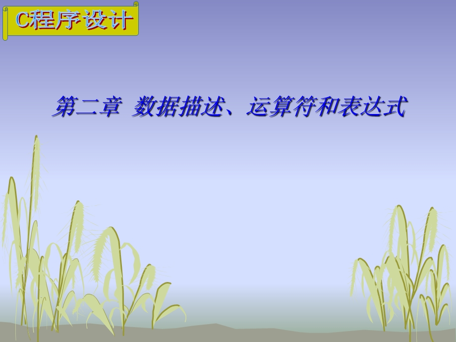 C程序设计ch2数据描述.ppt_第1页