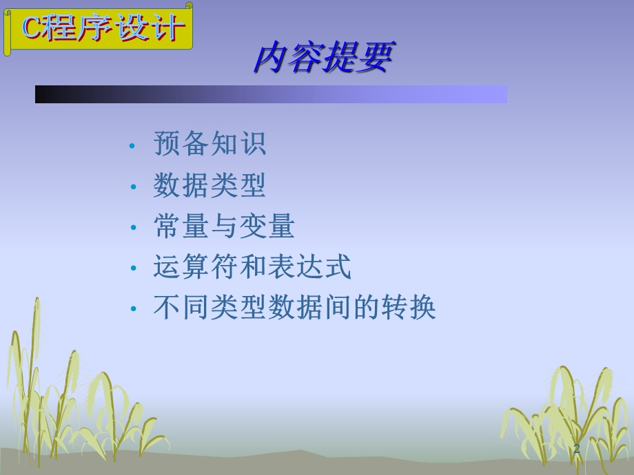 C程序设计ch2数据描述.ppt_第2页