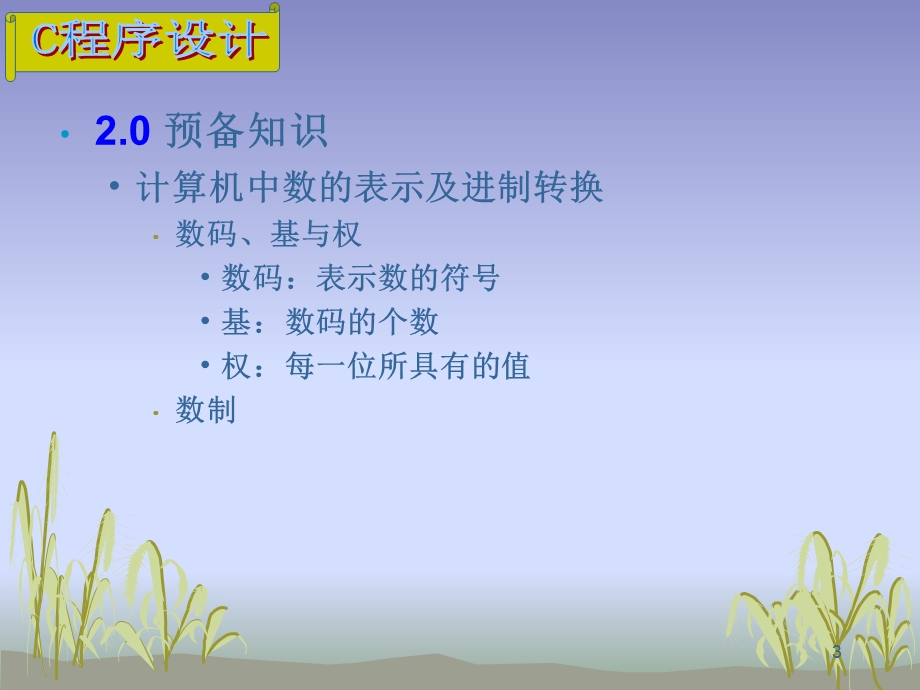 C程序设计ch2数据描述.ppt_第3页