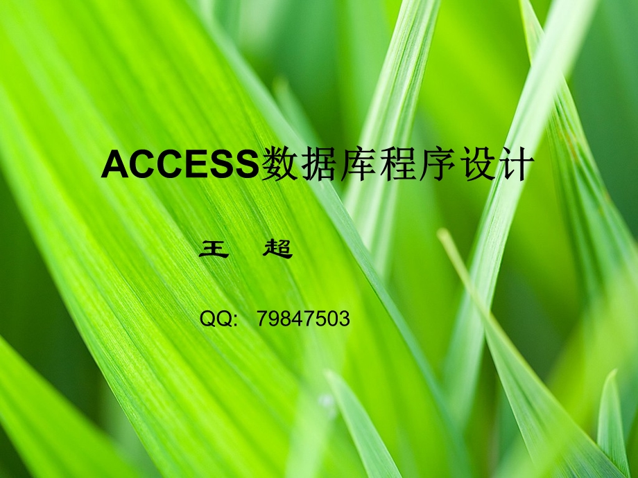 ACESS第一章概述.ppt_第1页