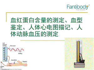 ppt图解人体血型鉴定、心电图描记、动脉血压测定等课题.ppt