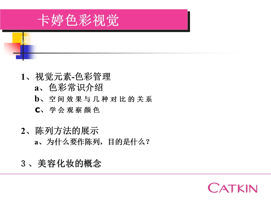 CATKIN视觉色彩讲稿.ppt_第1页