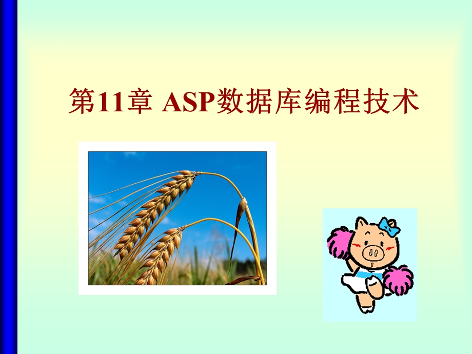 ASP数据库编程技术.ppt_第1页