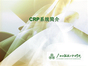 CRP系统简介(技术及部署演示).ppt