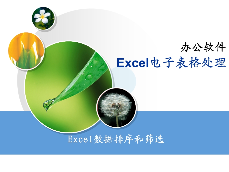 Excel-排序和筛选.ppt_第1页