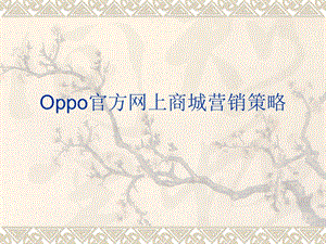 oppo网上商城营销策略.ppt