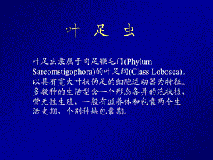 Parasite寄生虫2-医学原虫-叶足虫.ppt