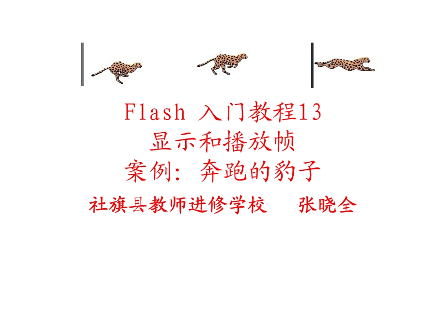 Flash入门教程13：显示和播放帧.ppt_第1页