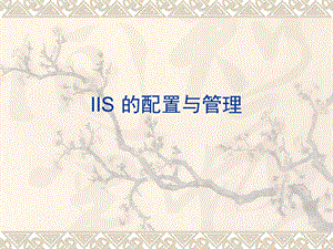 IIS的配置与管理.ppt