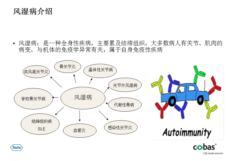 ElecsysAnti-CCP抗环瓜氨酸肽抗体全自动电化学发光18分钟出结果.ppt_第2页