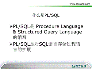 PLSQL程序设计简介.ppt