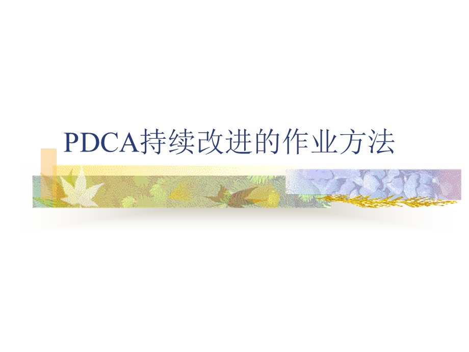 DCA持续改进的作业方法.ppt_第1页