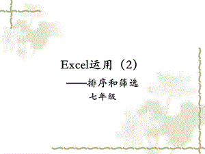 excel排序和筛选.ppt