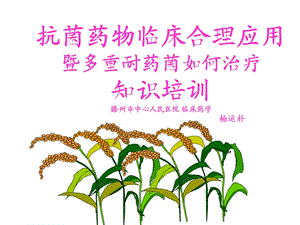 ab抗菌药物临床应用的指导原则(临床药学).ppt