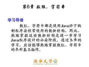 Java6数组和字符串.ppt