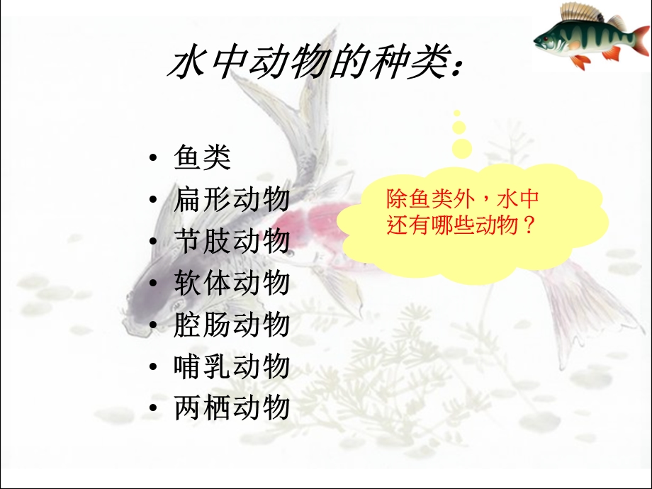 new10.1水中的动物.ppt_第2页