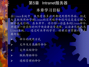 Intranet服务器.ppt