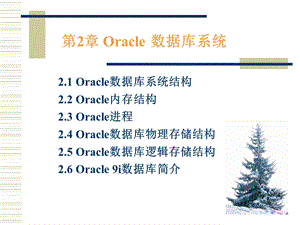 Oracle数据库系统.ppt