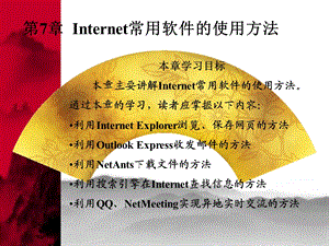 INTERNET常用软件的使用方法.ppt