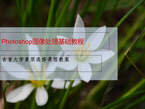 Photoshop图像处理教程.ppt