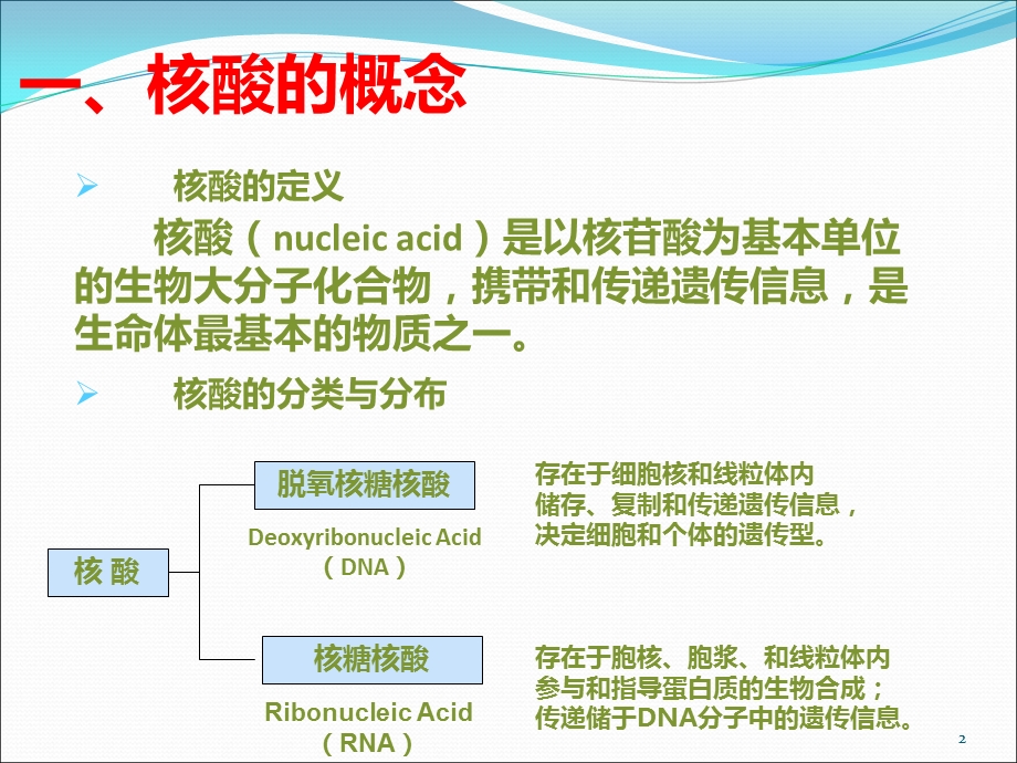 DNA的结构与功能 (2).ppt_第2页