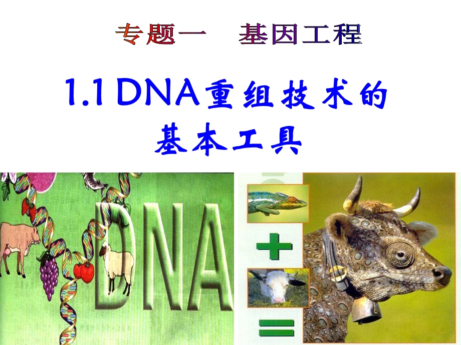 DNA重组技术的基本工具王京礼.ppt_第2页