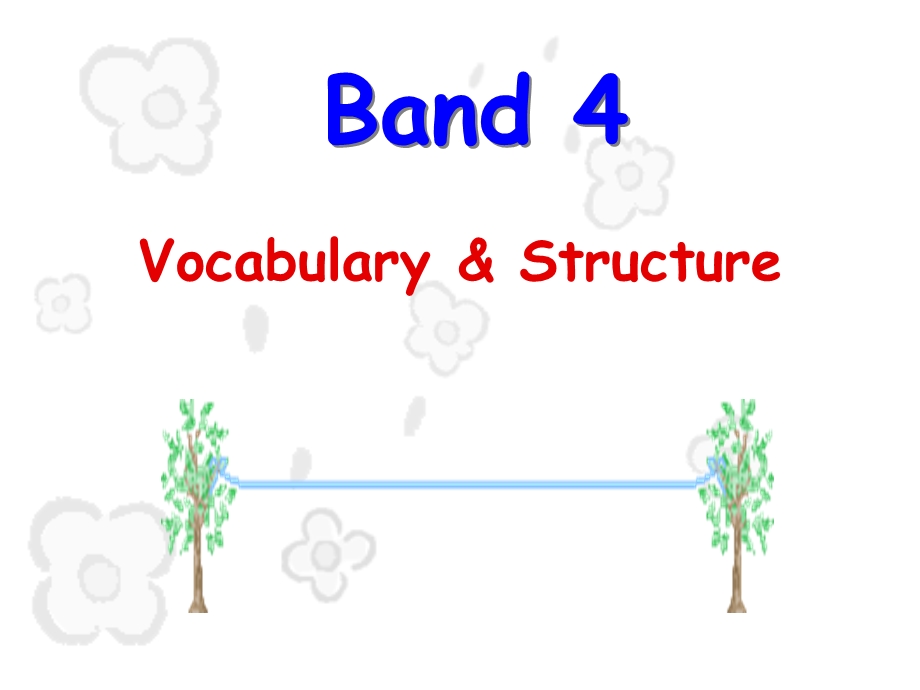 CET-Bandvocabulary讲解.ppt_第1页