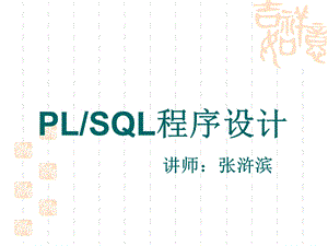 PL／SQL程序设计.ppt