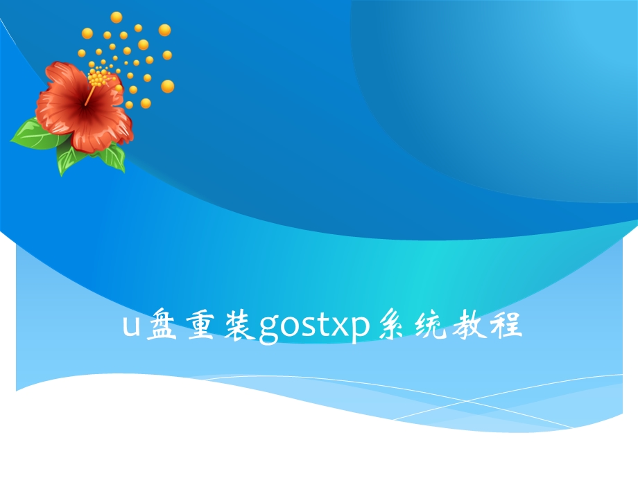 gostxp和安装版系统安装教程详细版.ppt_第1页