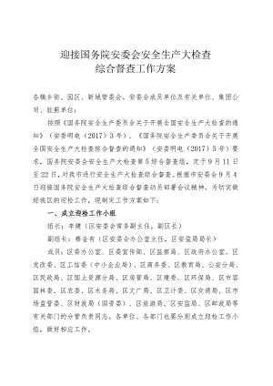 迎接国务院安委会安全生产大检查综合督查工作方案.docx