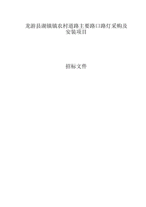 农村道路主要路口路灯采购及安装项目招标文件.docx