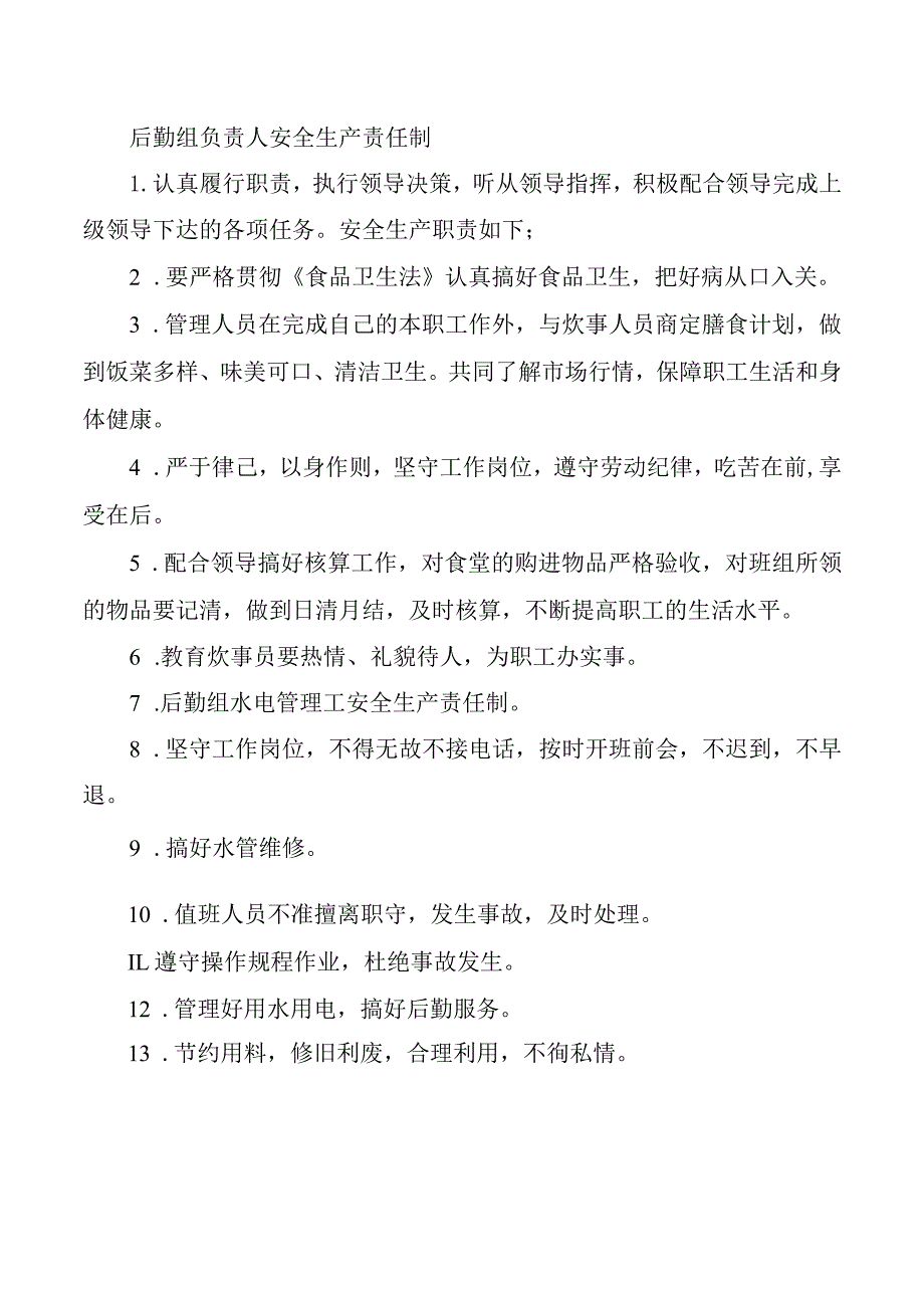 后勤组负责人安全生产责任制.docx_第1页