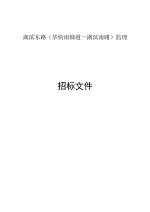 湖滨东路（华快南辅道—湖滨南路）监理招标文件.docx