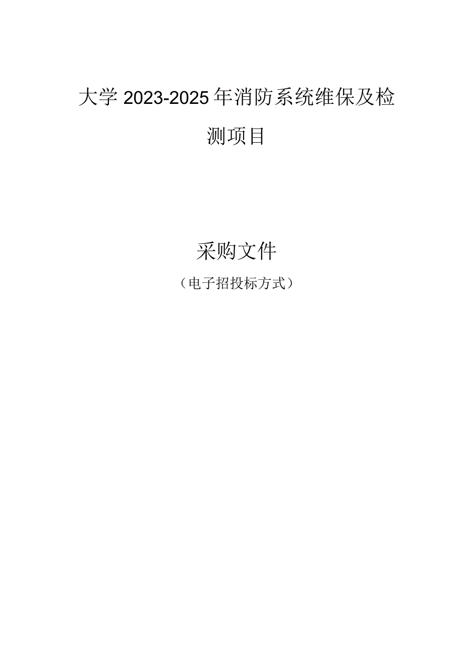 大学2023-2025年消防系统维保及检测项目招标文件.docx_第1页