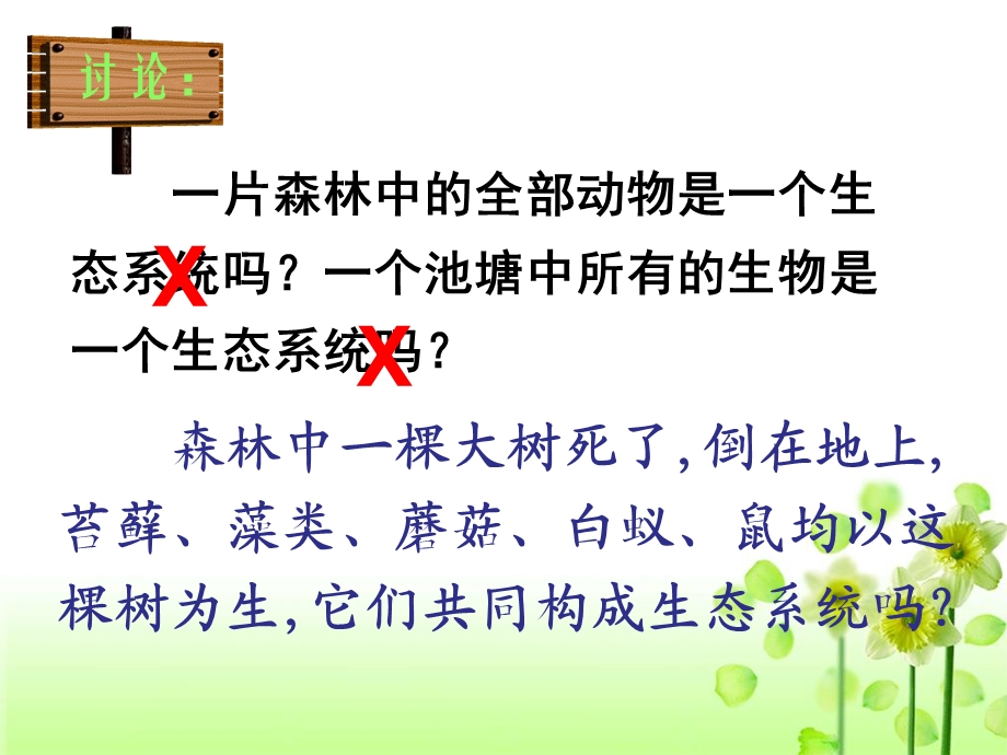 《生态系统的结构》教学.ppt_第2页