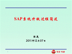 SAP系统升级过程简述.ppt