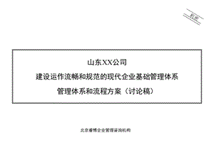 xx公司管理体系和流程.ppt