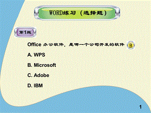 word练习选择题.ppt