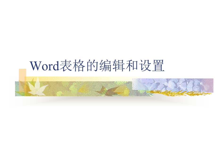 Word表格的编辑和设置.ppt_第1页