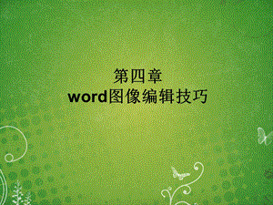 word图像编辑技巧.ppt